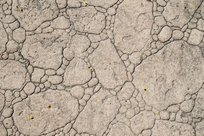 Decorative Concrete Repair in Santa Rosa, CA