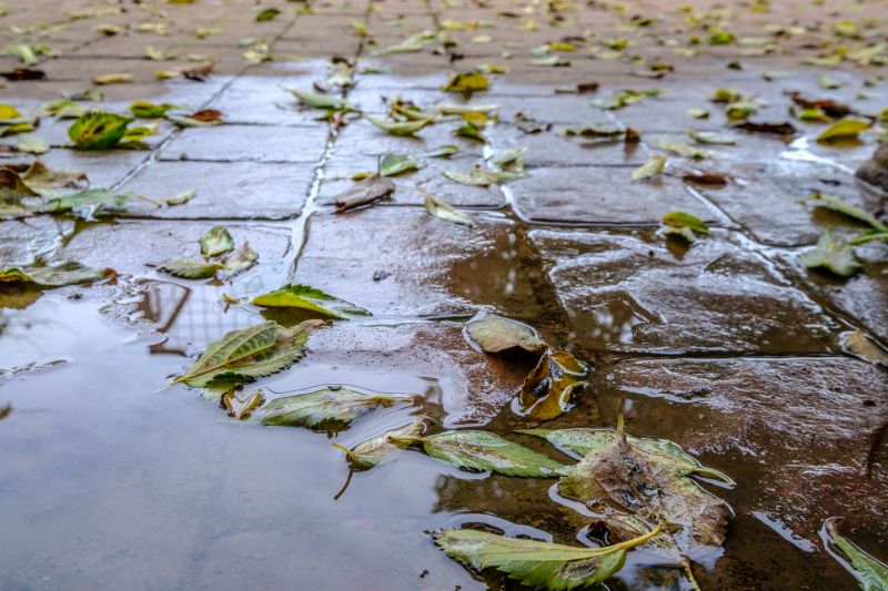 Decorative Concrete Repair in Venice, FL